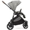 купить Детская коляска Joie S1803IAPEB000 Versatrax Pebble в Кишинёве 