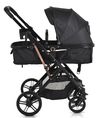 купить Детская коляска Moni Rafaello 2in1 Black в Кишинёве 