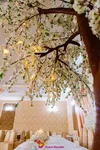 Декоративное дерево - "Сакура"