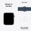 купить Смарт часы Apple Watch Series SE2 GPS 44mm Silver - S/M MREC3 в Кишинёве 