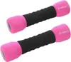 купить Гантель HMS 535008 Gantere set Soft Dumbbells 2x1kg, CM06 в Кишинёве 