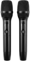 купить Микрофон RBR D-15E - Set 2 Microfoane Fără Fir в Кишинёве 