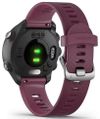 cumpără Ceas inteligent Garmin Forerunner 245 Merlot în Chișinău 