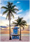 купить Пазл Clementoni Puzzle 500 Miami Beach Florida 2025 (35574) в Кишинёве 