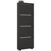 купить Полка для обуви Mobildor-Lux Leo Slim 50x16x164H cm Anthracite в Кишинёве 