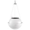 купить Цветочный горшок Lechuza Bola 32, White в Кишинёве 