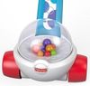 cumpără Jucărie Fisher Price FGY72 Каталка с шариками în Chișinău 