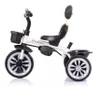 cumpără Bicicletă-cărucior Chipolino Matrix 360° (TRKMT0233SA) în Chișinău 