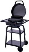 купить Мангал Char-Broil 140255 Patio Bistro E2Coal Hybrid TRU-Infrared (electric) в Кишинёве 