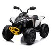 купить Электромобиль Golden Baby DK-CA002 ATV Can Am Marverick,alb, GB2283 в Кишинёве 