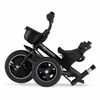 cumpără Bicicletă-cărucior KinderKraft SPINSTEP KRSPST00PNK0000 розовый în Chișinău 