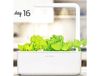 купить SMART HOME GREEN LETTUCE REF. GLETT-REFILL-3 CLICK&GROW в Кишинёве 