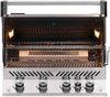 купить Мангал Napoleon BIPRO 500 incorporat, arzator cu infrarosu, inox (BIPRO500RBPSS) в Кишинёве 