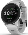 купить Ремешок Garmin Forerunner 745 Whitestone (010-11251-9E) в Кишинёве 