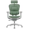 купить Офисное кресло ART Ergohuman Elite 2 Green T-168-B6 EHE2-AG-HAM-5D-L в Кишинёве 
