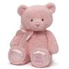 cumpără Jucărie de pluș Baby Gund 6055513 My 1st Teddy Pink 38cm în Chișinău 