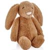 купить Мягкая игрушка BabyJem 730 Jucarie din plus pentru copii The Bestie Bunny, 35 cm в Кишинёве 