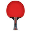 купить Теннисный инвентарь Joola 54195 ракетка p/p Carbon Pro в Кишинёве 