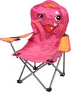cumpără Mobilier pentru camping ProGarden 42322 Fotoliu pliant 35x35x60cm, metal, max 50kg, 4 вида în Chișinău 