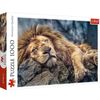 cumpără Puzzle Trefl 10447 Puzzle 1000 Sleeping lion în Chișinău 