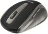 cumpără Mouse Trust EasyClick Wireless Black în Chișinău 
