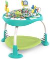 Centru de activitati 2 in 1 Bright Starts Playful Pond 