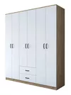 купить Шкаф Trendy BA113-2337, 180x210x51cm в Кишинёве 