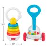 cumpără Zornăitoare Fisher Price JKP54 Set jucării-zornaitoare, 2buc. în Chișinău 