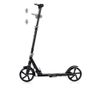 cumpără Trotinetă Chipolino DSSWI0261BK Swift black до 100кг în Chișinău 