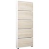 купить Полка для обуви Mobildor-Lux Leo Slim 50x16x203H cm White/Sonoma в Кишинёве 