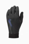 Зимние перчатки M Nike Winter Therma-Fit (10250) 