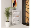 купить Полка для обуви Trendy Locking 3 Piece Metal-White, 50x103x15cm в Кишинёве 