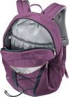 cumpără Rucsac pentru oraș Deuter GoGo plum-ink în Chișinău 