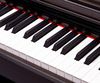 купить Цифровое пианино Pearl River V05 BK в Кишинёве 