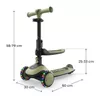 cumpără Trotinetă KinderKraft Halley 2 2in1 Green (KRHALL02GRE0000) în Chișinău 