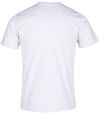купить Одежда для спорта Joma T-Shirt Desert (S) 101739.200 в Кишинёве 