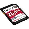 купить Флеш карта памяти SD Kingston SDR2/256GB в Кишинёве 