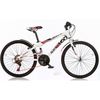 cumpără Bicicletă Dino Bikes 1024 B-05 Fast Boy ø 24 în Chișinău 