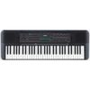 купить Цифровое пианино Yamaha PSR-E273 (+ Power Supply) в Кишинёве 