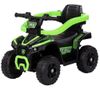 купить Толокар Chipolino ROCATVH02503GR ATV с ручкой green в Кишинёве 