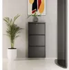 купить Полка для обуви Trendy Locking 3 Piece Metal-Anthracite, 50x103x15cm в Кишинёве 