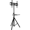 cumpără Suport TV de perete Arm media TR-STAND-2 în Chișinău 