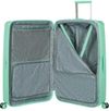 купить Чемодан Samsonite Fastforward 78/29 TSA Exp Menta (155261/A942) в Кишинёве 