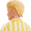 купить Кукла Barbie JJN66 Ken Fashionistas (seria 1) в Кишинёве 