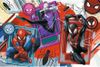 cumpără Puzzle Trefl 14366 Puzzles 24 Maxi: Marvel Spiderman în Chișinău 