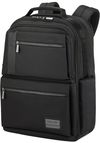 купить Рюкзак городской Samsonite Openroad 2.0 (137209/1041) в Кишинёве 