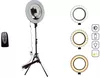 cumpără Lampă inelară misc 4272 Make up Profesionala, LED tip inel, cu suport selfie S116-17 în Chișinău 