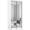 купить Шкаф Mobildor-Lux Зеркальные раздвижные двери Aron-P (140x60x210 см) Brilliant White в Кишинёве 