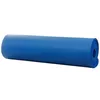 купить Коврик для йоги Spacer SP-YOGA-BLUE blue в Кишинёве 