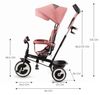 cumpără Bicicletă-cărucior KinderKraft Aston 2 Plus Pink (KRASTO02PNKPL00) în Chișinău 